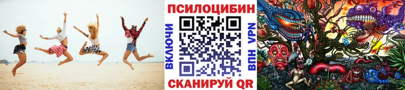 Галлюциногенные грибы Psilocybe  Вытегра 