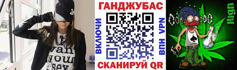 мега как войти  хочу   Вытегра  Шишки марихуана план 